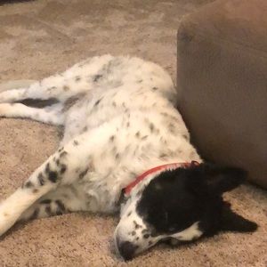 Meet your Posher, Rhonda